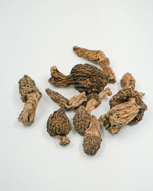 Dried Morel Mushrooms - Gucchi