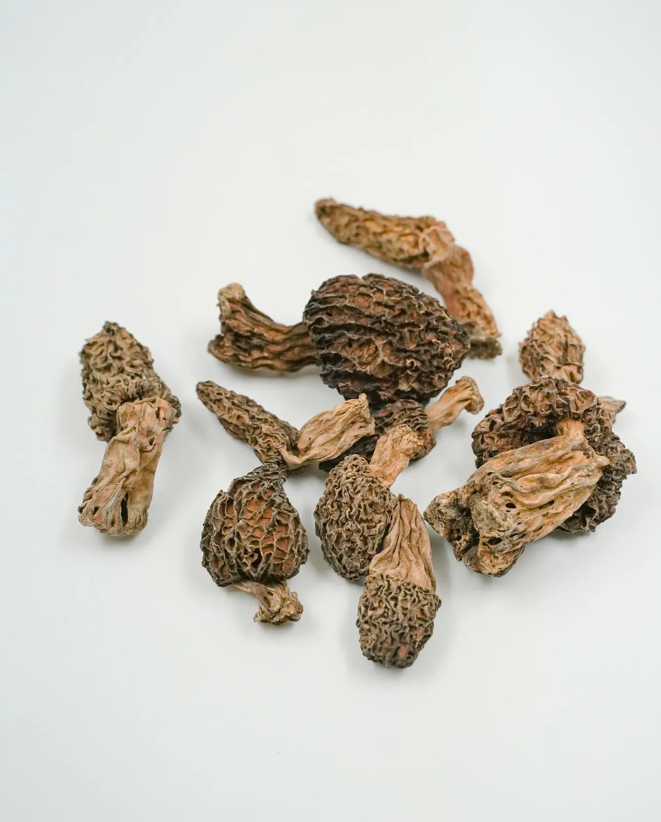 Dried Morel Mushrooms - Gucchi
