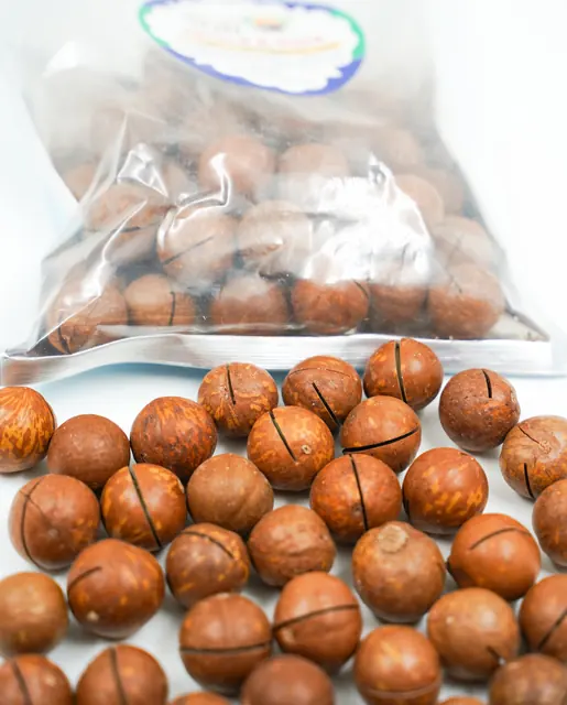 Macadamia Nuts in Shell