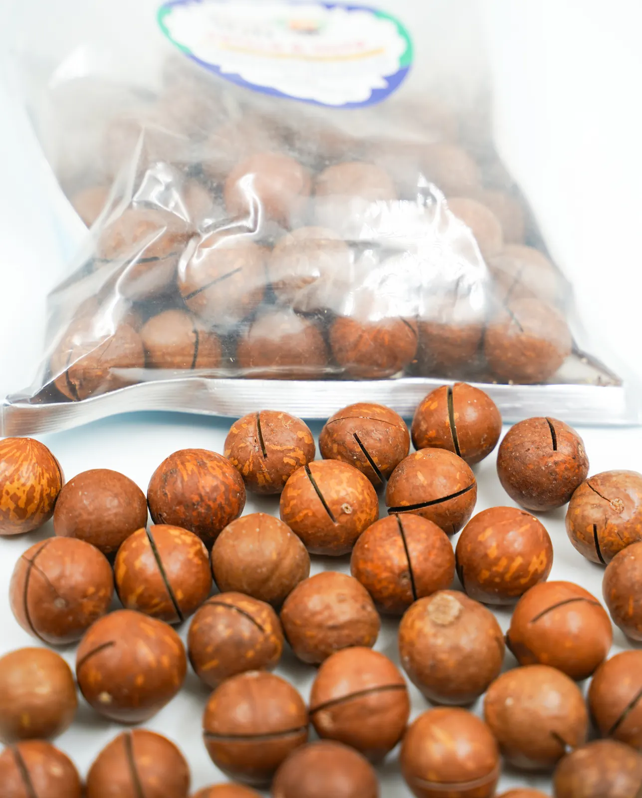 Macadamia Nuts in Shell